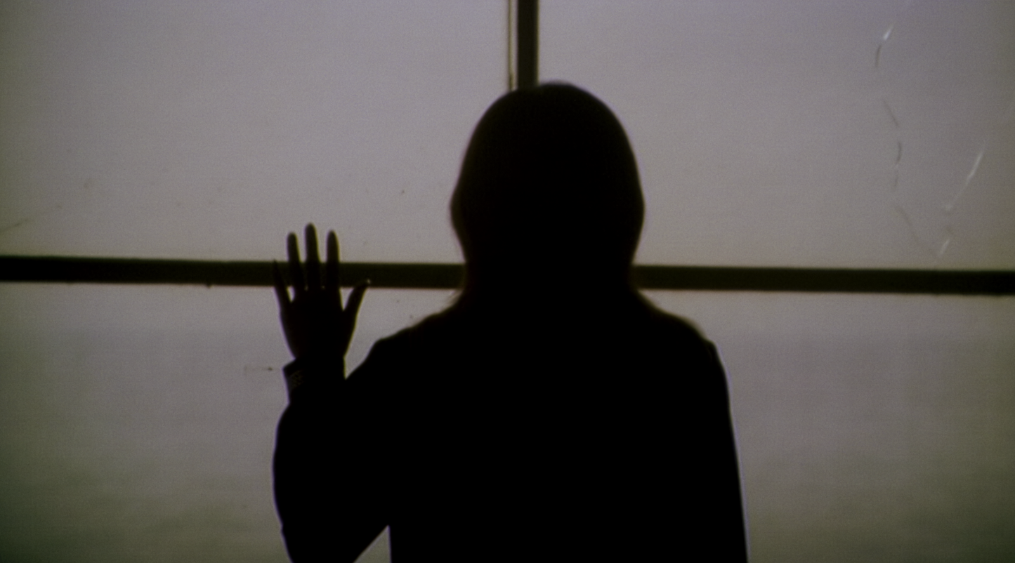 Noriko’s Dinner Table Blu-Ray